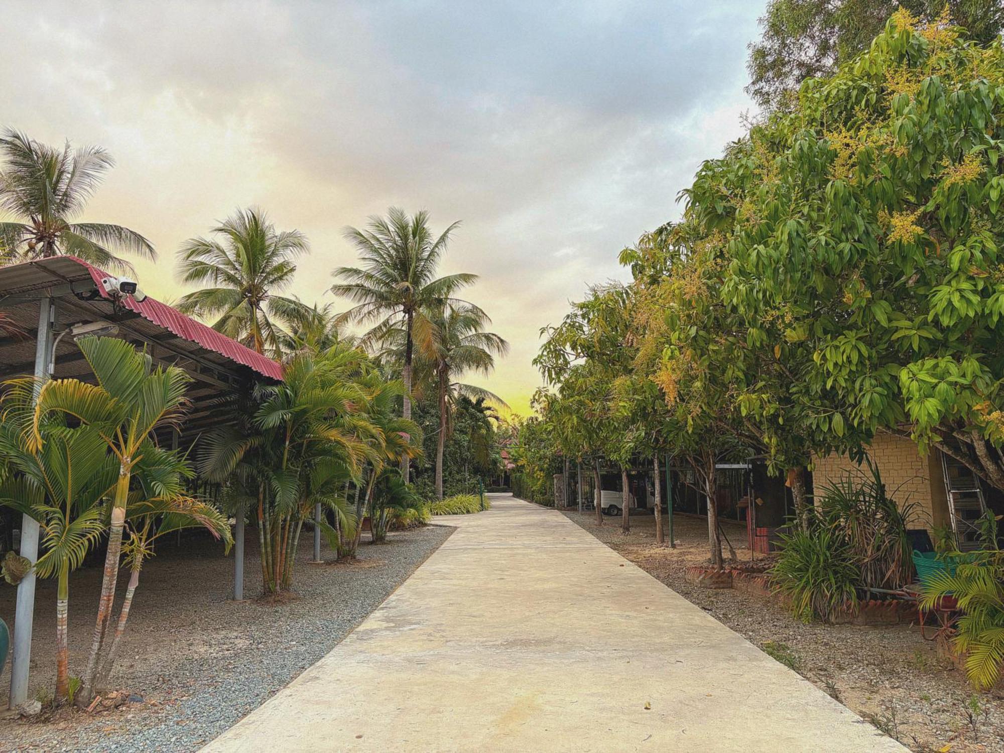 Coconut Village Guesthouse And Bungalow Кеп Екстериор снимка