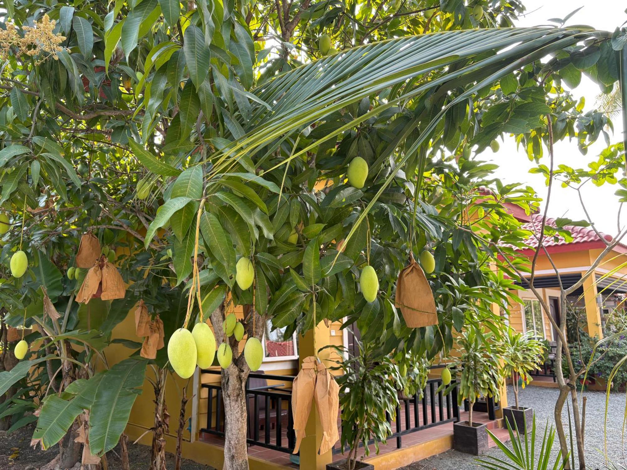 Coconut Village Guesthouse And Bungalow Кеп Стая снимка